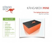 Kangabox Mini
